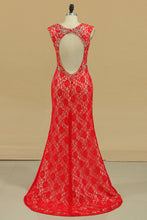 Load image into Gallery viewer, 2024 Plus Size Open Back V Neck Mermaid Lace Prom Dresses With Beads &amp; Slit Sweep Train